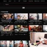 PussyKong Review: Features, Categories, and Video Browsing Guide